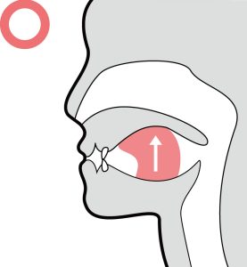 正しい舌の位置イメージ画像